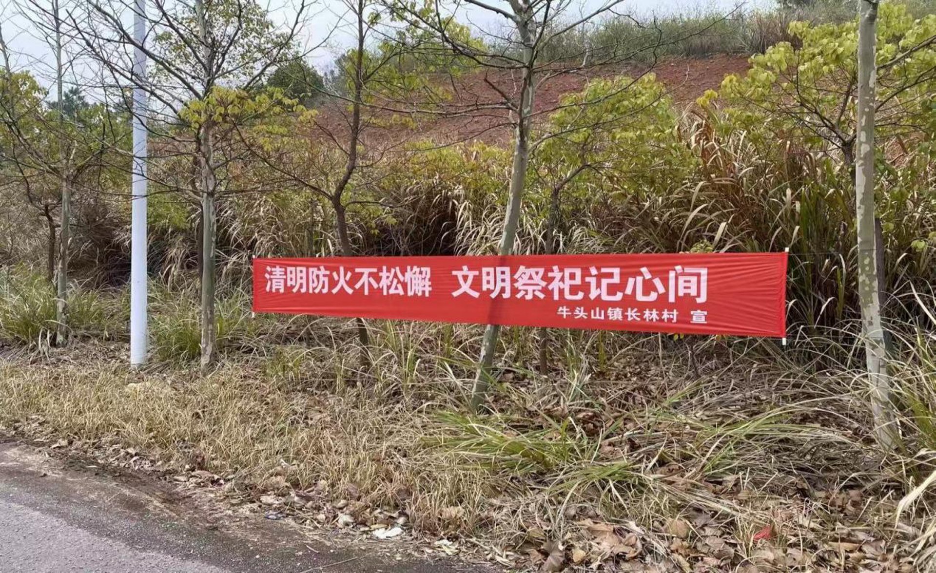 善友环保设备